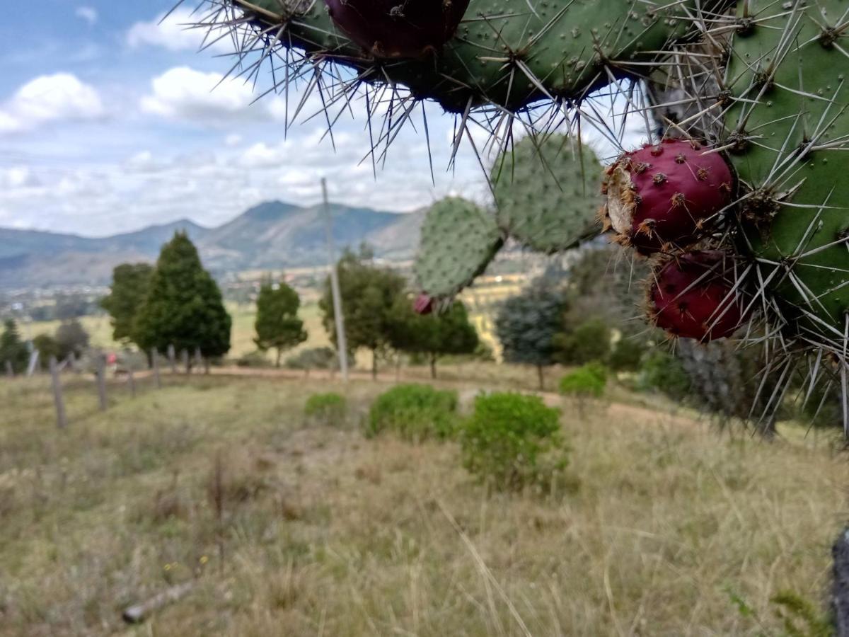 Hotel Campestre Los Duraznos Кукунуба Экстерьер фото