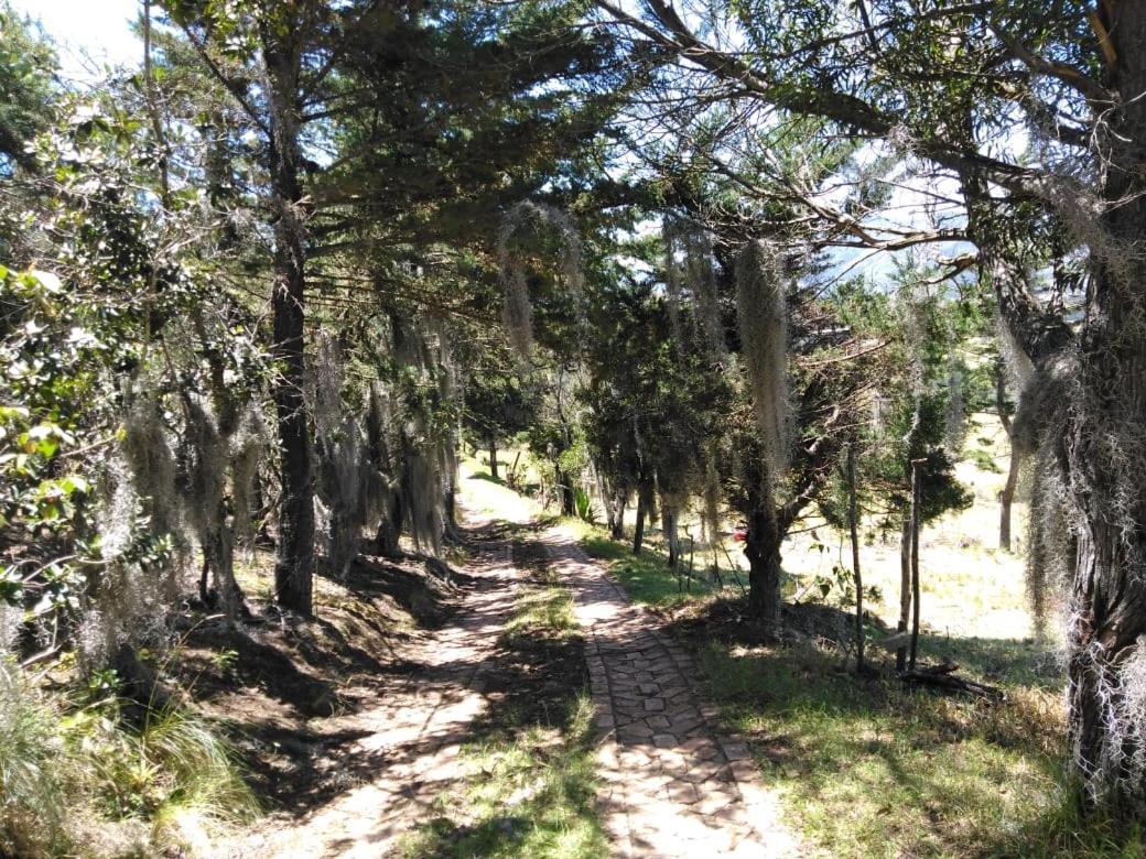 Hotel Campestre Los Duraznos Кукунуба Экстерьер фото